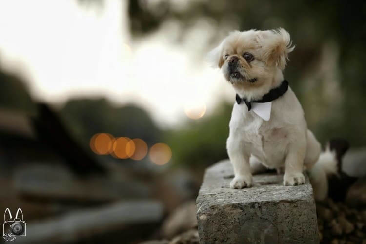 All Dressed Up And Nowhere to Go