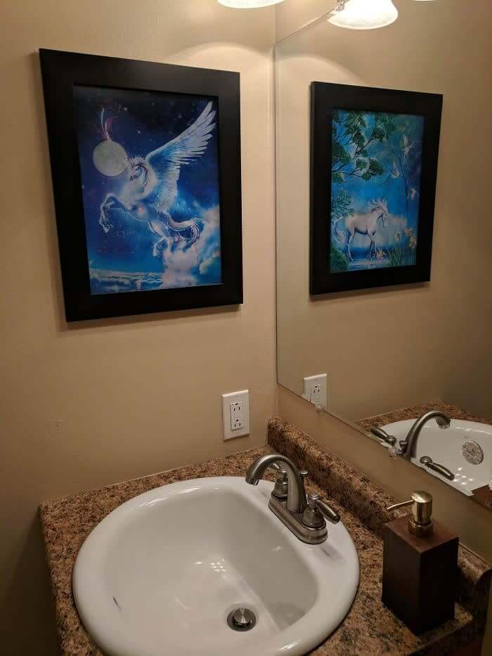 The Picture Is Different in The Mirror