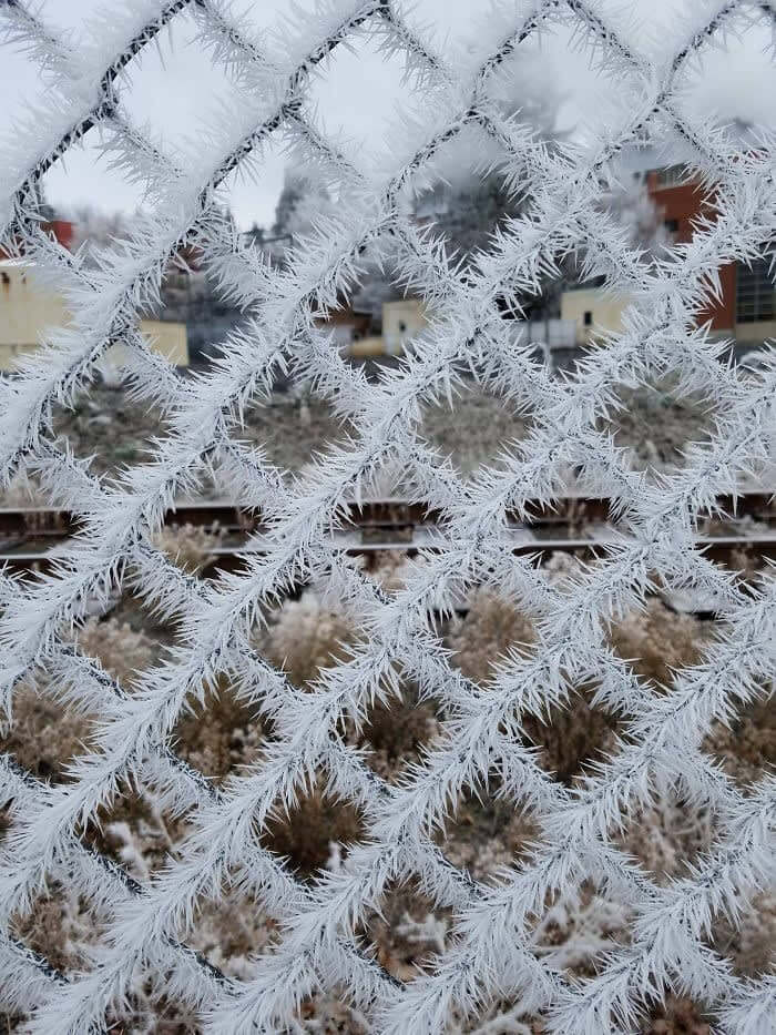 Furry Fence