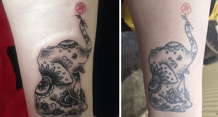 This Tiny Elephant Still Has Charm