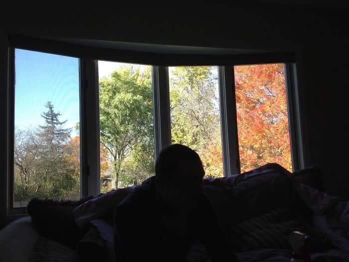 4 Seasons, 1 Window