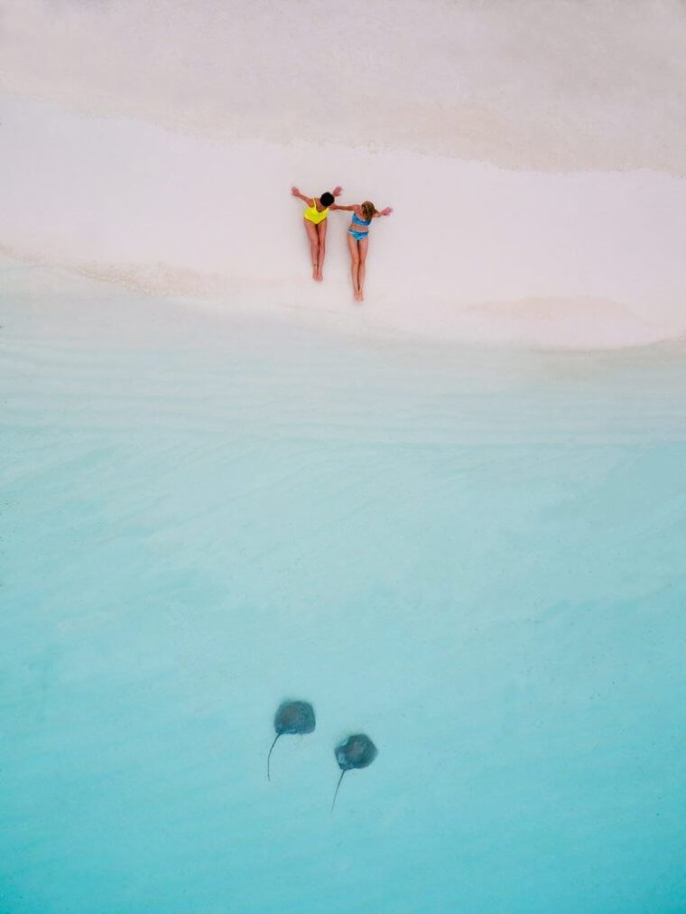 Manta Rays at the Beach