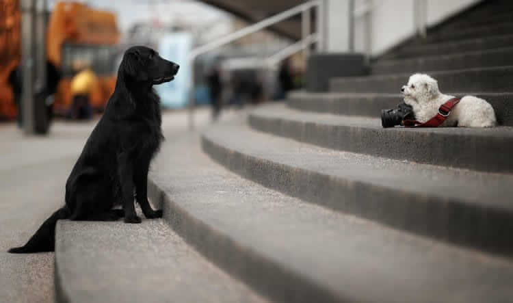 "I Think We Got it!"