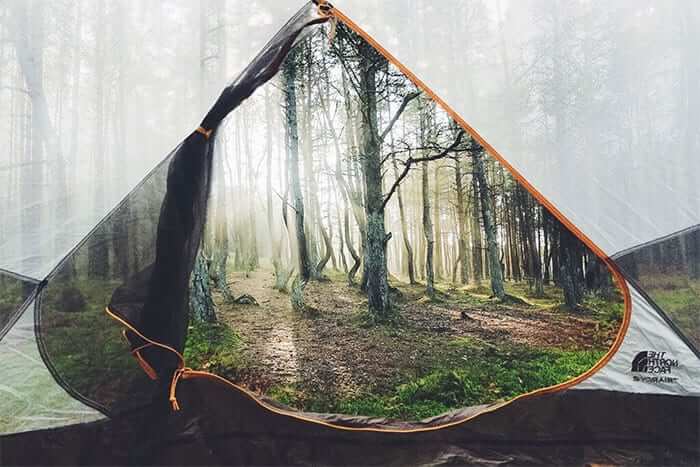 A Portal To Another World