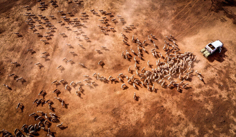 Worst Australian Drought