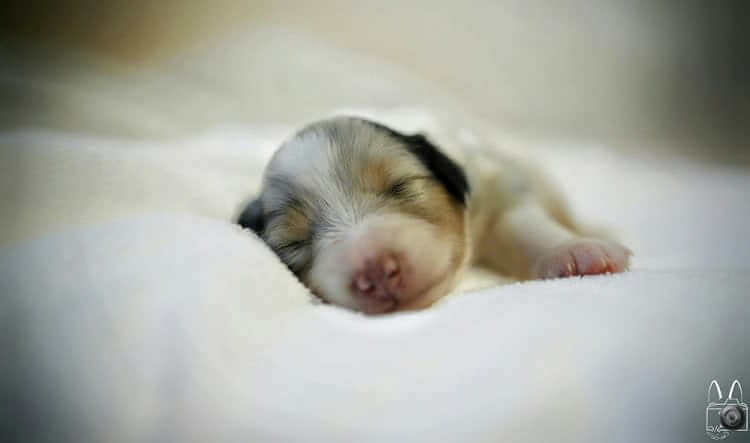 Not A Care in The World