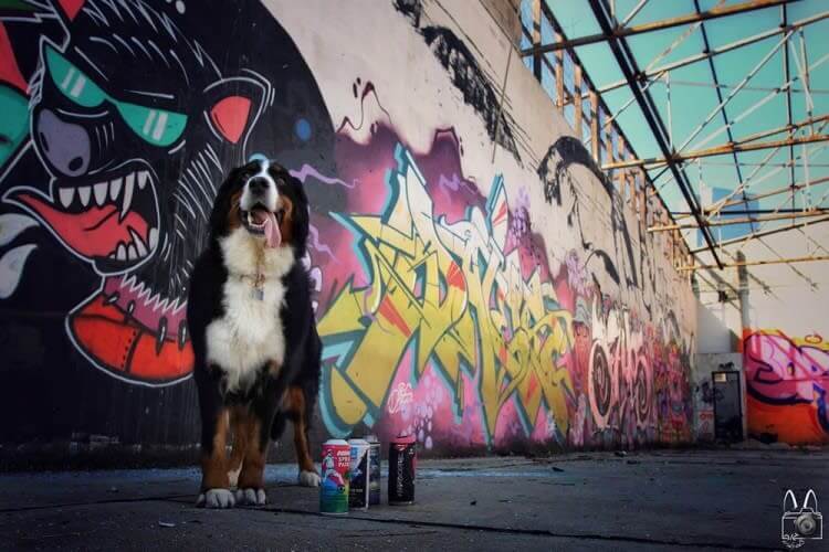 Bone Eater by Day, Graffiti Artist by Night