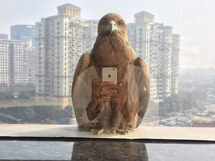 But First, Let Me Take A Selfie