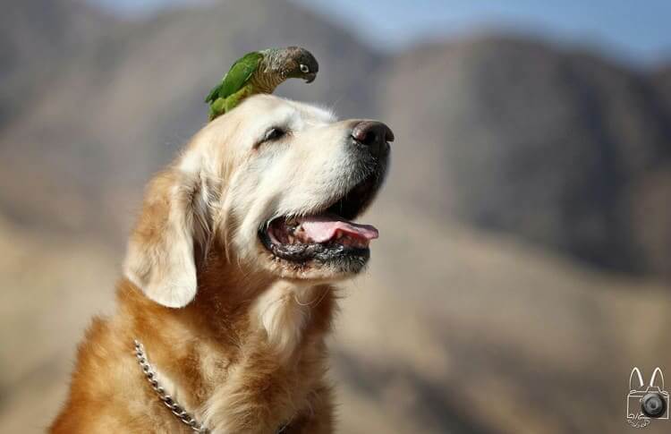 A Perfect Spot to Rest