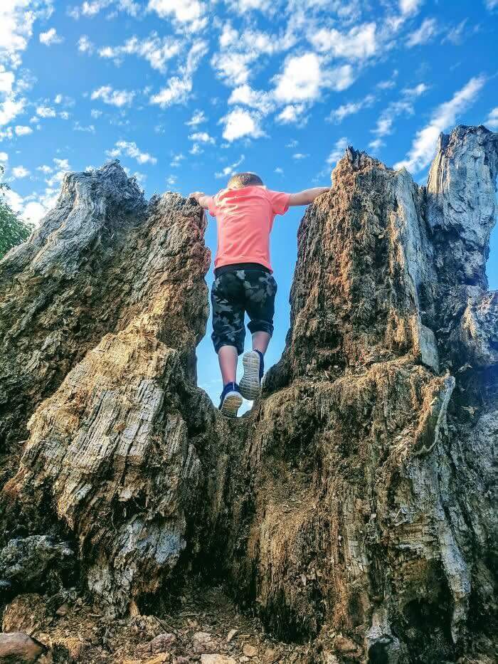 Giant Rock Climber