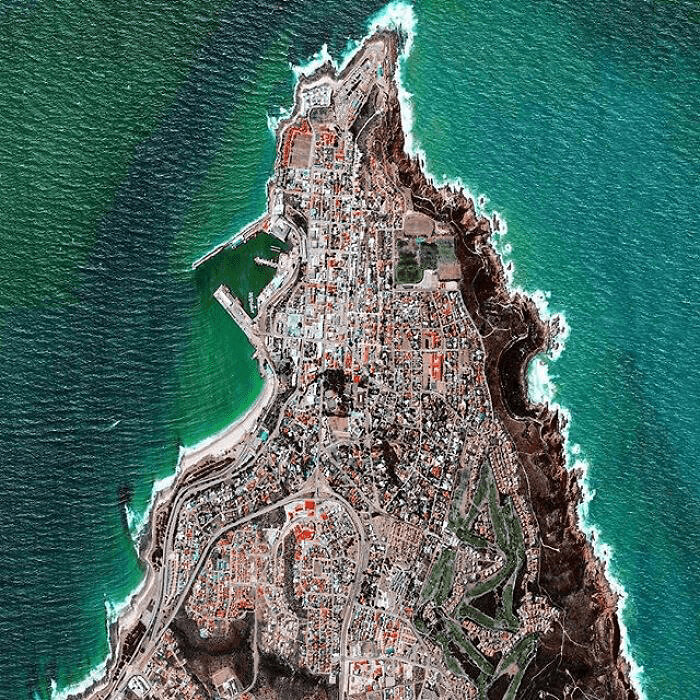 Looks Like A Rabbit to Us