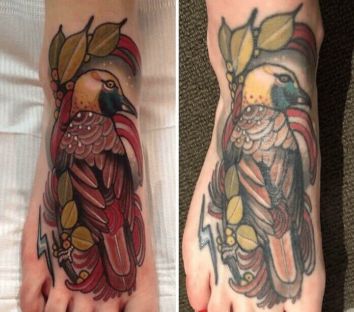 Bright And Beautiful Bird Tattoo