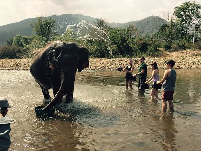 The Water Looks Like An Elephant